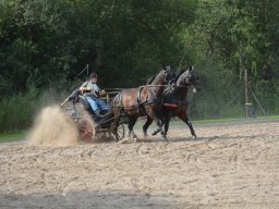 DSC_9191_web